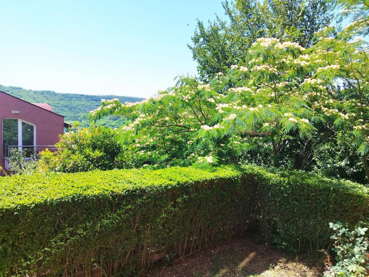 Apartamento Green, quiet&beautiful 1 Kavarna Exterior foto